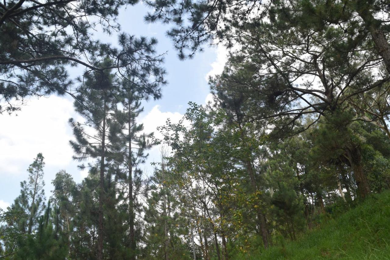 Hotel Pham Duy Dalat Eksteriør bilde